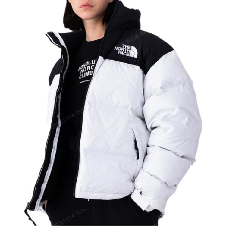 THE NORTH FACE 1996 Retro Nuptse Black and White NF0A3C8D-FN4