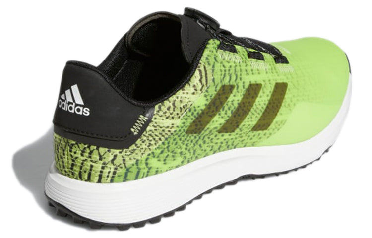 adidas S2G BOA Wide Spikeless Golf 'Green' GV9790