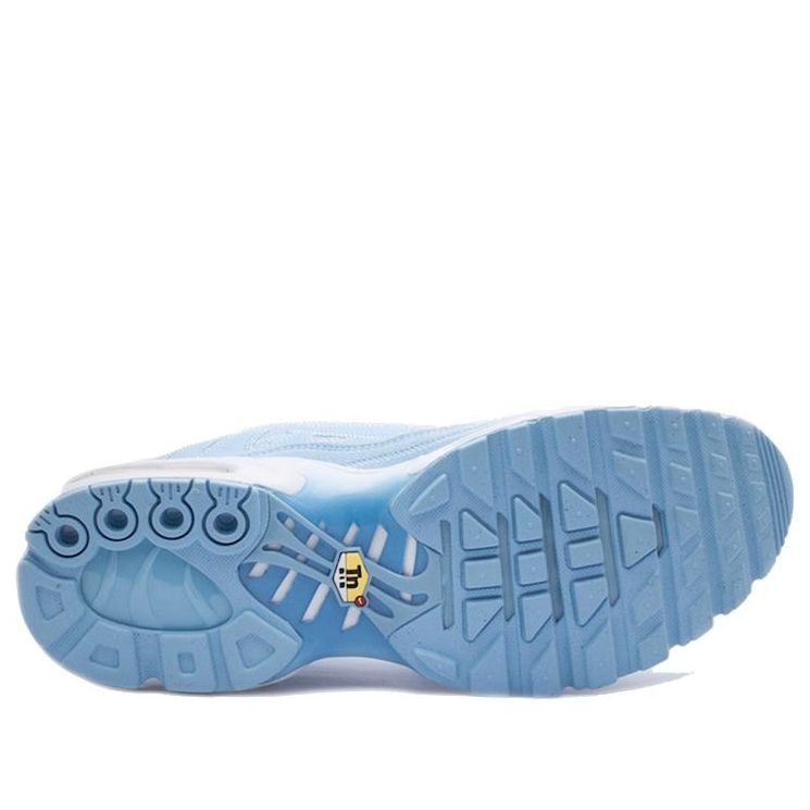 Nike Air Max Plus Decon 'Pyschic Blue' CD0882-400