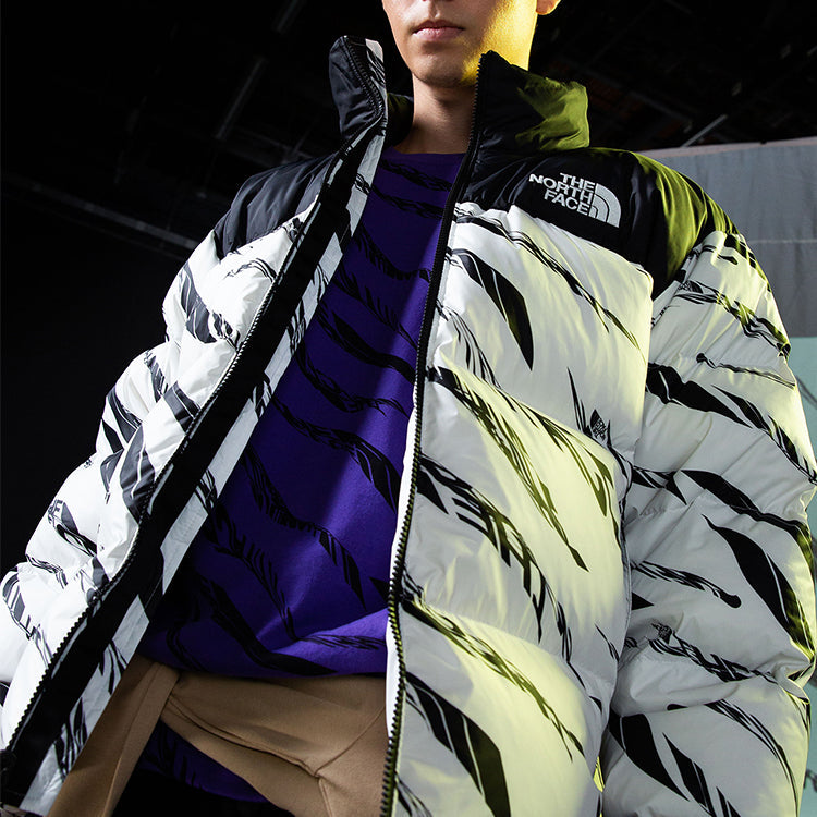 THE NORTH FACE Nuptse Down Parka 700 NF0A5AXQ-LG4