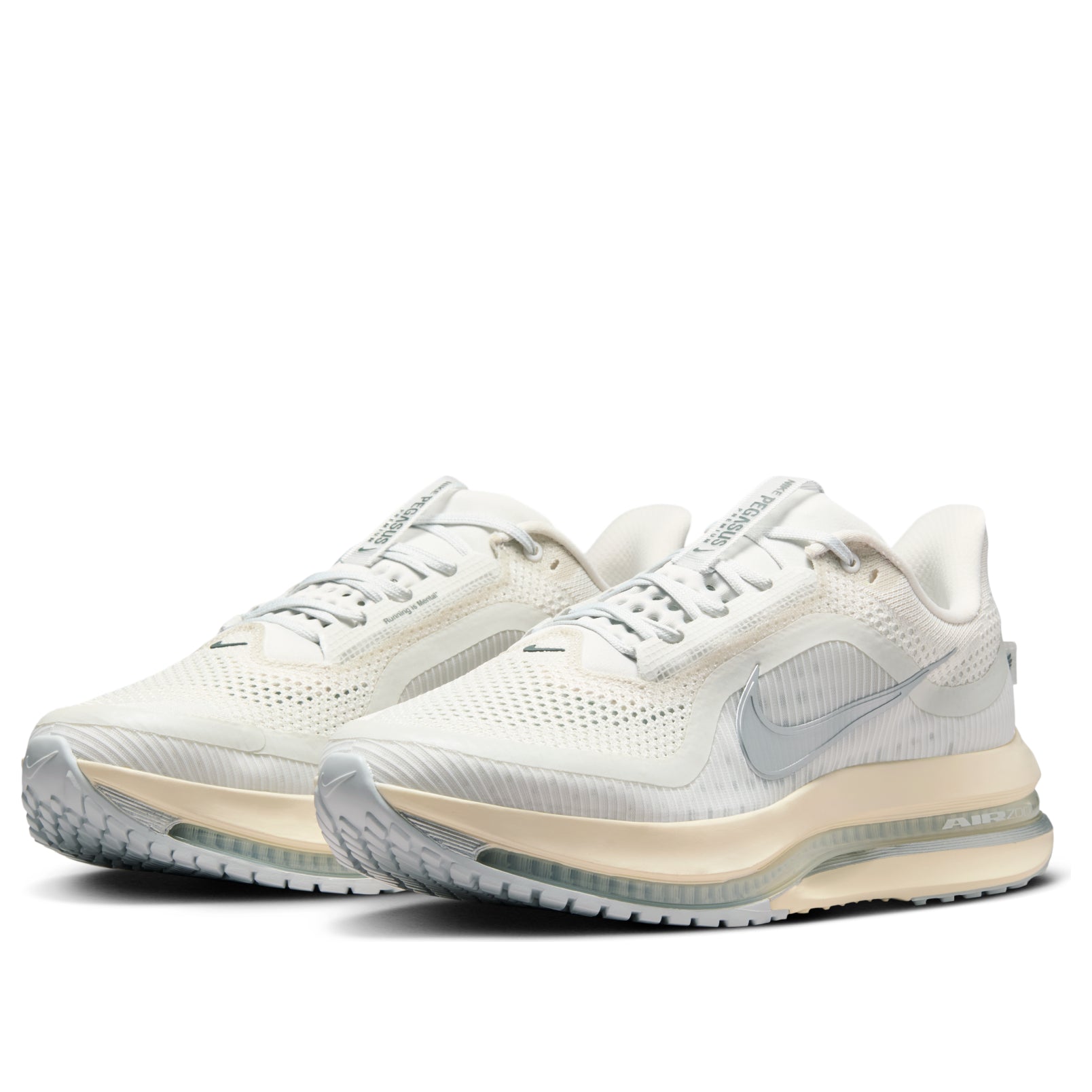 Nike Air Zoom Pegasus Premium 'Platinum Tint Grey Fog Silver' IQ0307-094