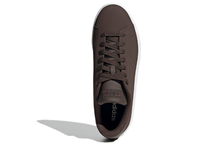 adidas Advantage Base 'Brown White' FV8536