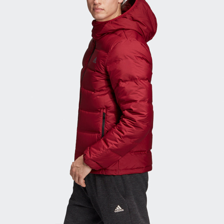 adidas Helionic Ho Jkt Outdoor Slim Fit hooded down Jacket Wine Red DZ1426