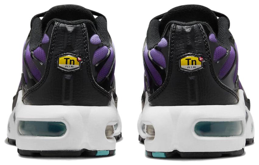 (GS) Nike Air Max Plus 'Reverse Grape' FQ2412-500