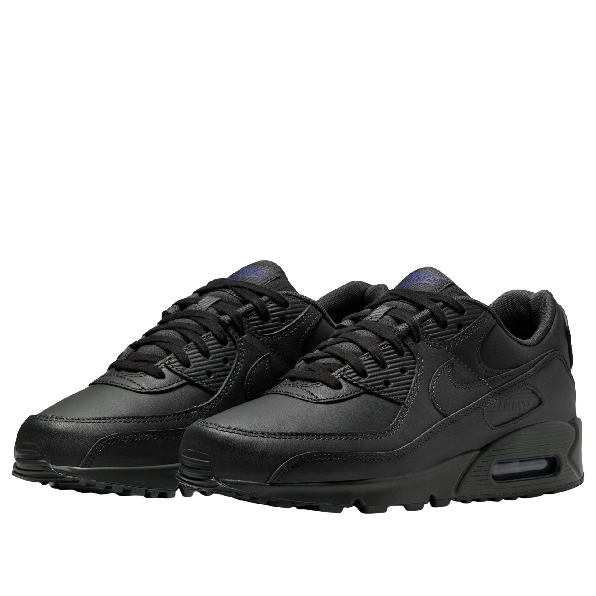Nike Air Max 90 'Dark Smoke Grey Sanded Purple' IF5446-001