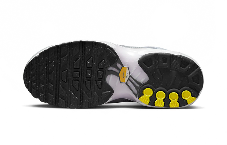 (PS) Nike Air Max Plus 'Platinum Violet Frost' CD0610-108