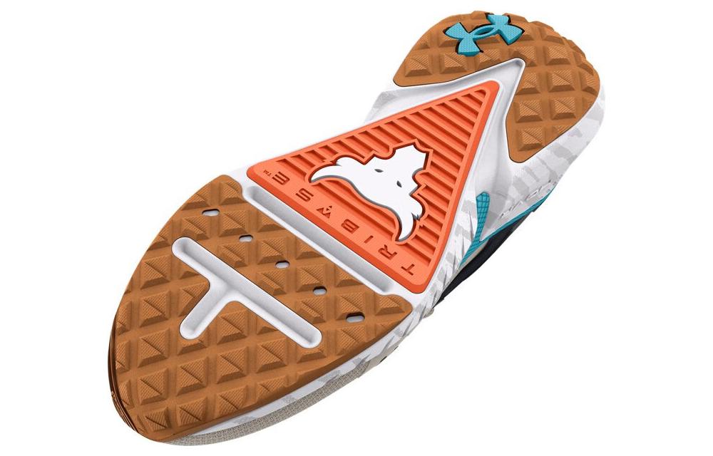 Under Armour Project Rock 5 'Grey' 3025435-103