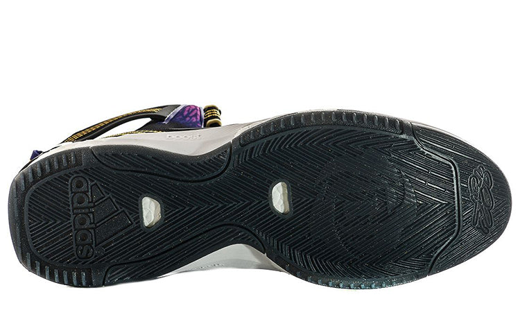 adidas D Rose 6 'Purple' F37138