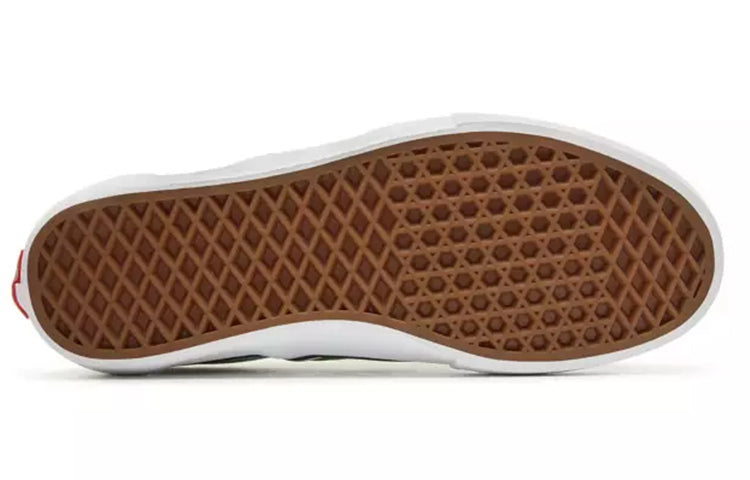 Vans Slip-On Pro 'Amazon' VN00097MU2A