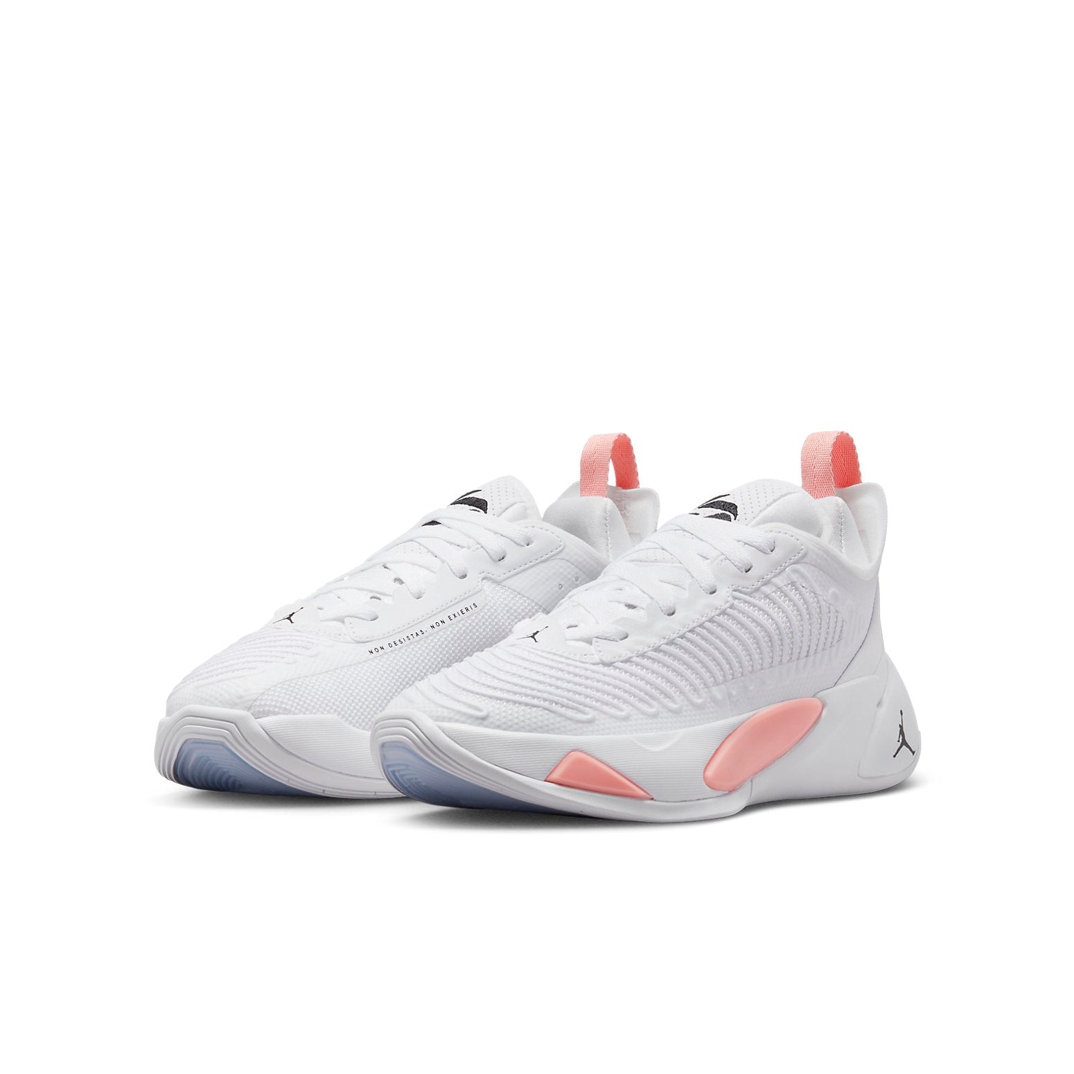 (GS) Air Jordan Luka 1 'My Dawgs' DQ6513-106