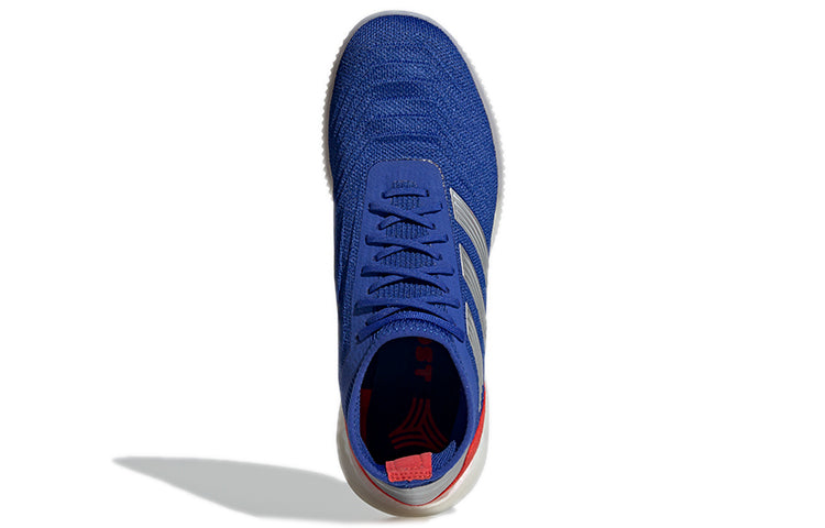 adidas Predator 19.1 TR 'Bold Blue Active Red' BB9081