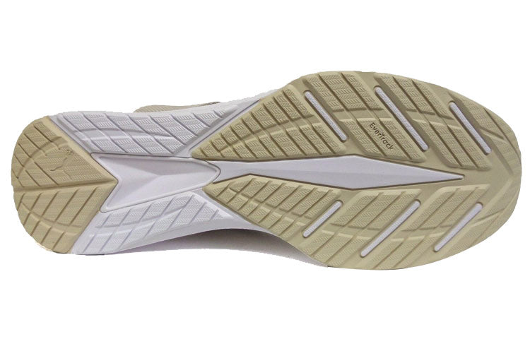 PUMA Ignite EvoKnit Lo Pavement 189926-02