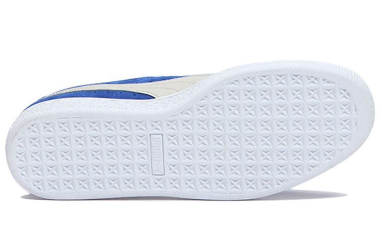 PUMA Suede Classic 'Pastime - Surf The Web' 387060-02