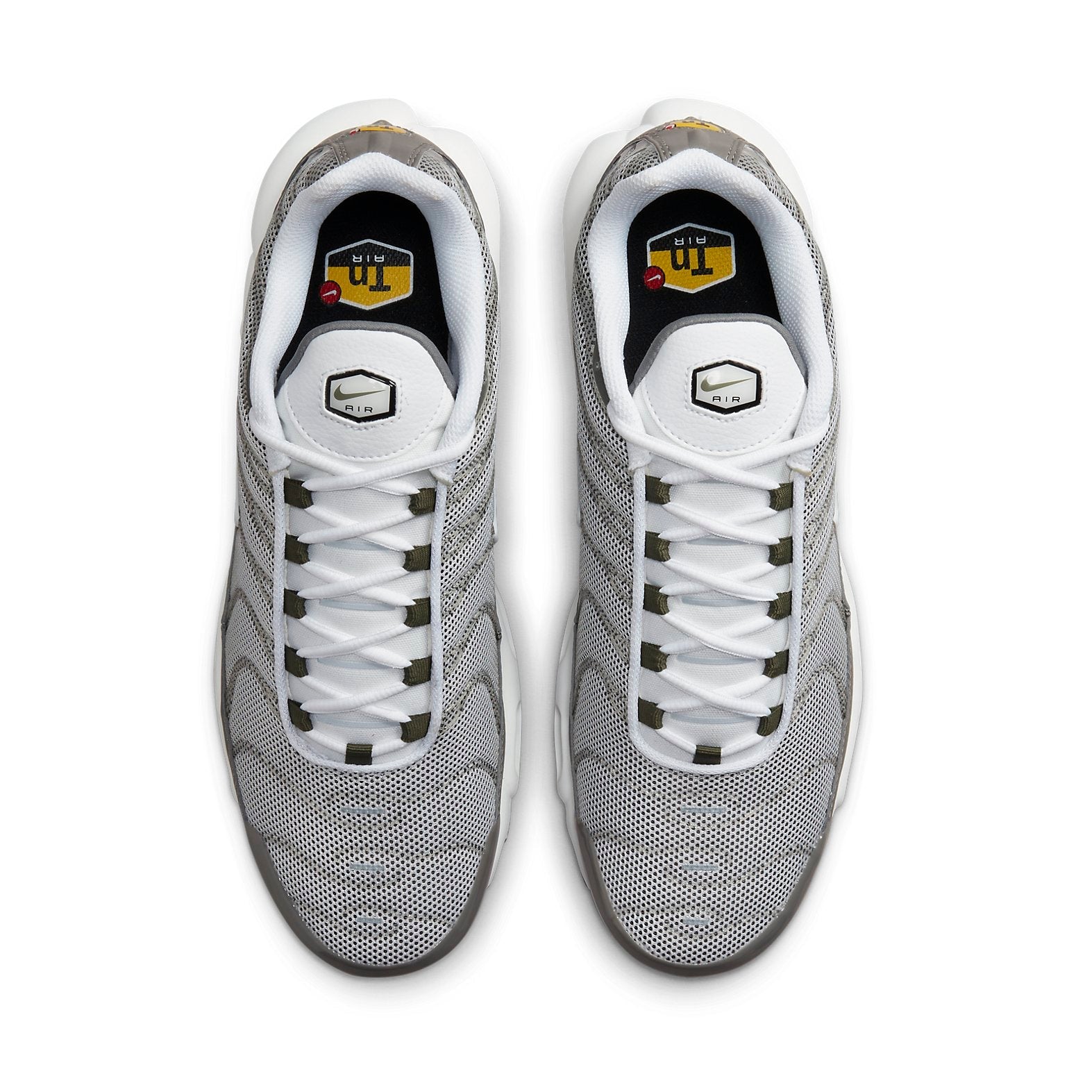 Nike Air Max Plus SE 'Flat Pewter' DV7665-002