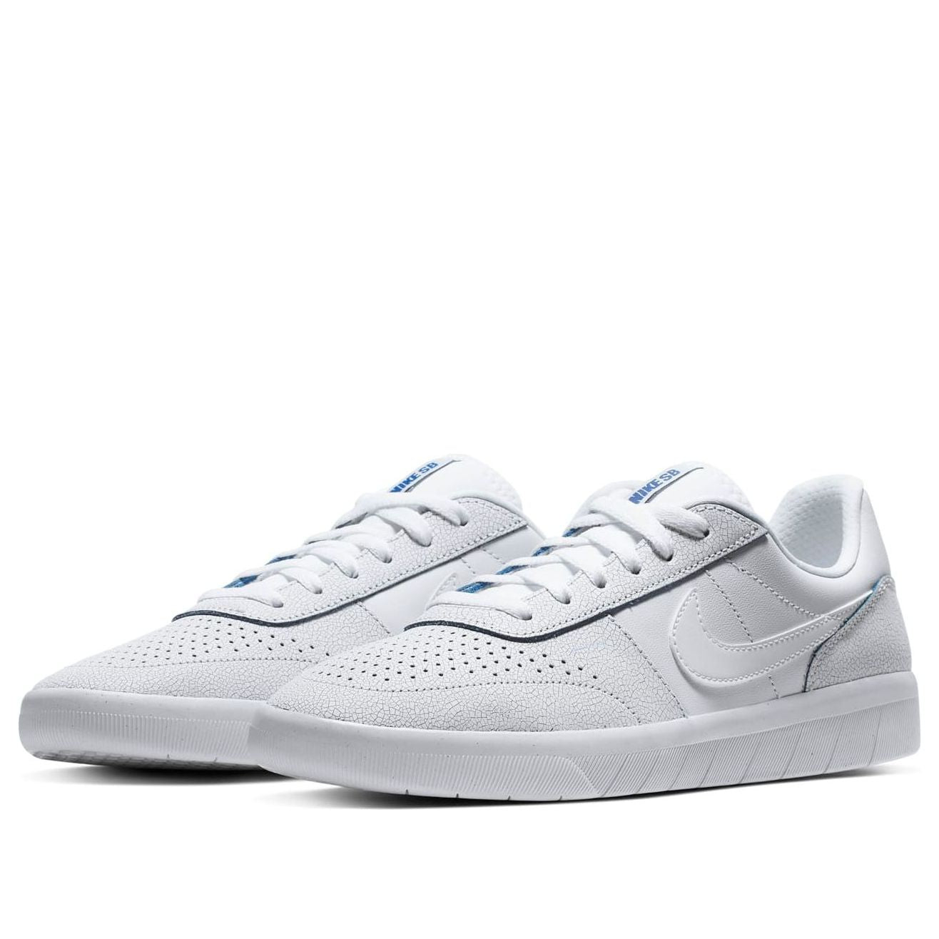 Nike SB Team 'White' AR0767-100