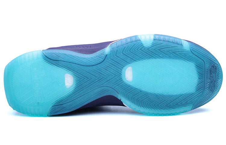 adidas D Rose 6 PK Boost 'Blue' Q16507