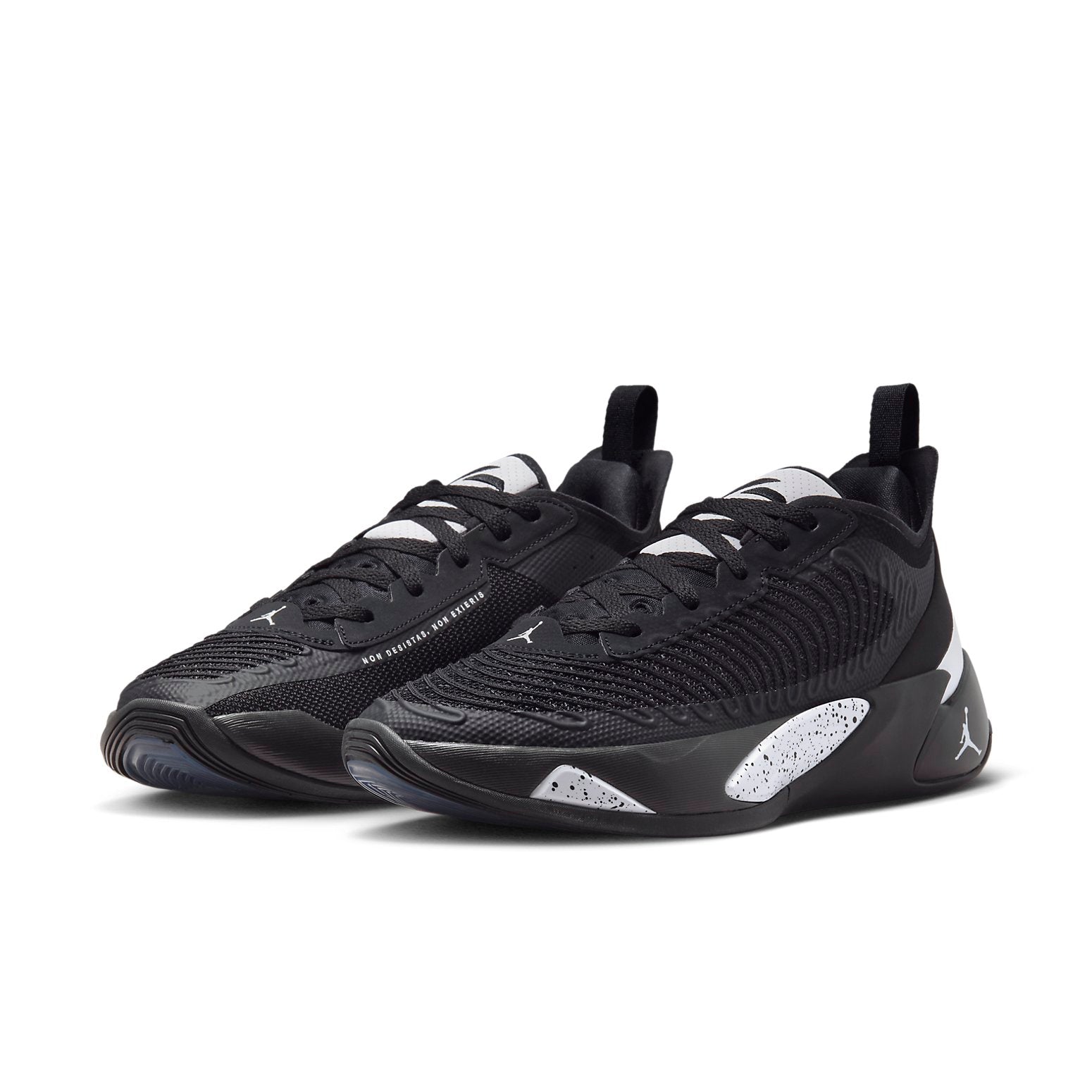 Air Jordan Luka 1 'Oreo' DQ7689-001