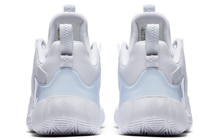 Air Jordan Zoom Zero Gravity PF 'White Pure Platinum' AT4030-100