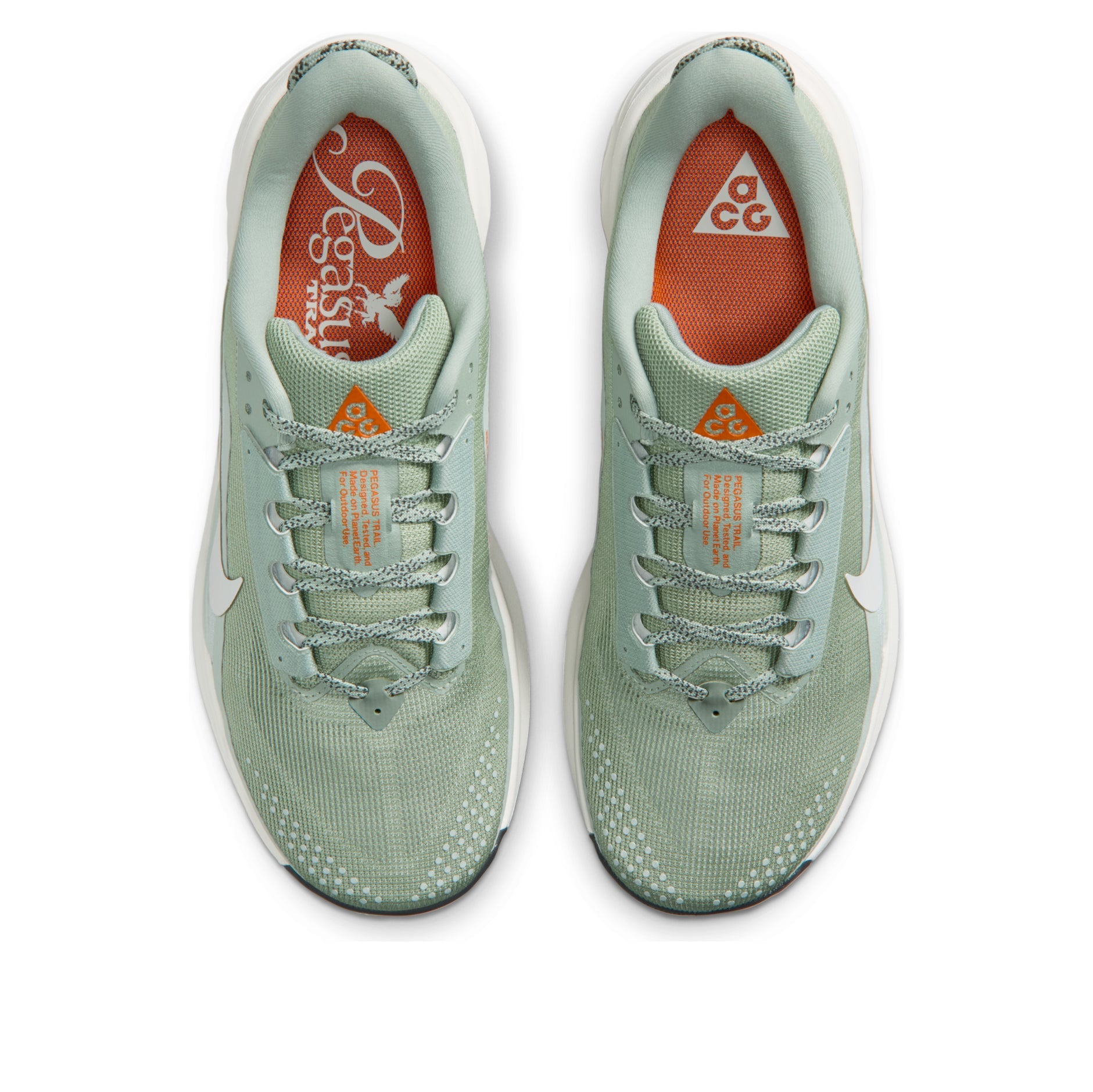 Nike ACG Pegasus Trail 'Jade Horizon Light Silver' HV8116-310