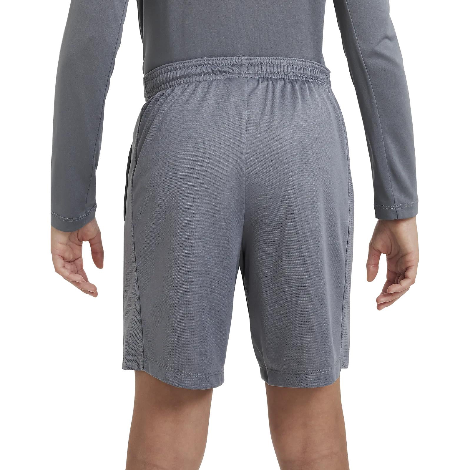 (GS) Nike Dri-FIT Trophy Training Shorts 'Smoke Grey' DX5416-084