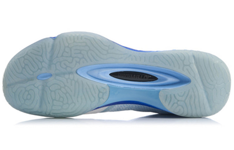 Li-Ning Badminton Shoes AYTP019-13
