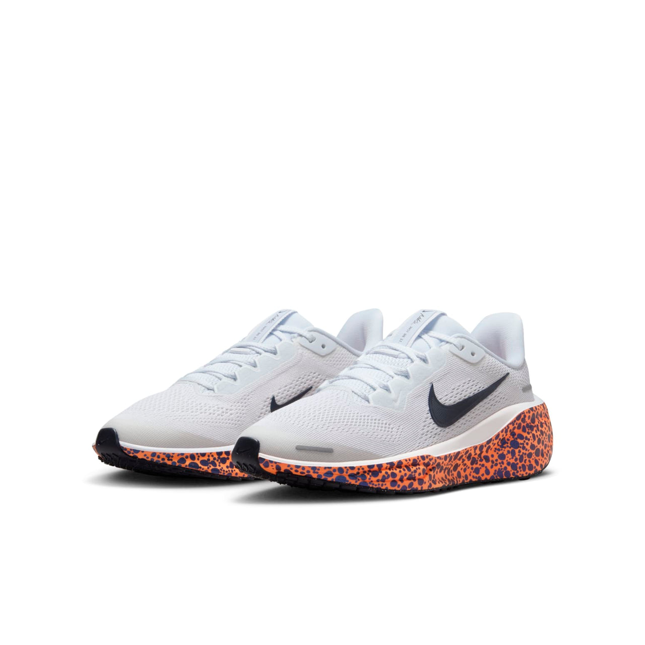 (GS) Nike Air Zoom Pegasus 41 Electric Pack 'Olympic Safari' FV3461-001
