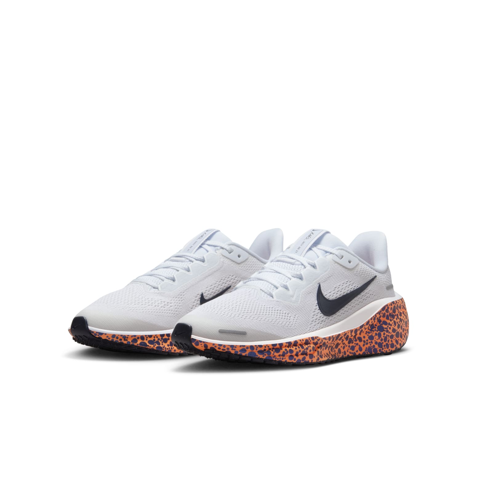 (GS) Nike Air Zoom Pegasus 41 Electric Pack 'Olympic Safari' FV3461-001
