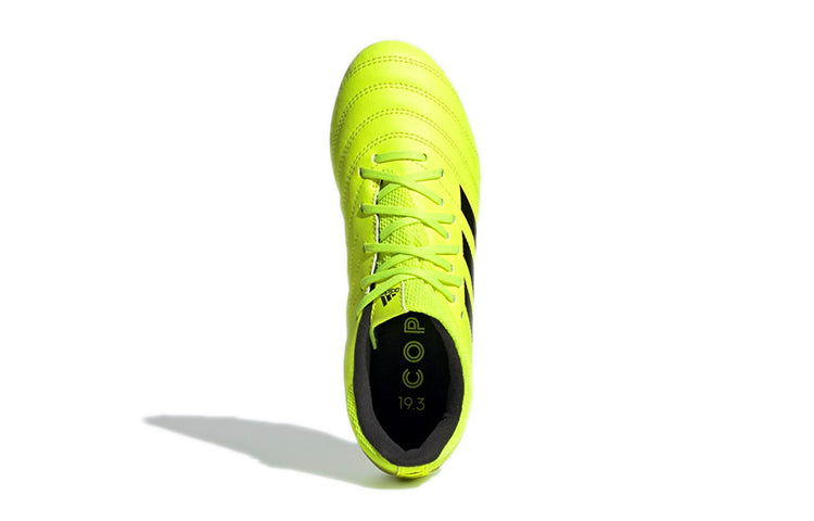 (GS) adidas Copa 19.3 FG 'Yellow Black' F35466