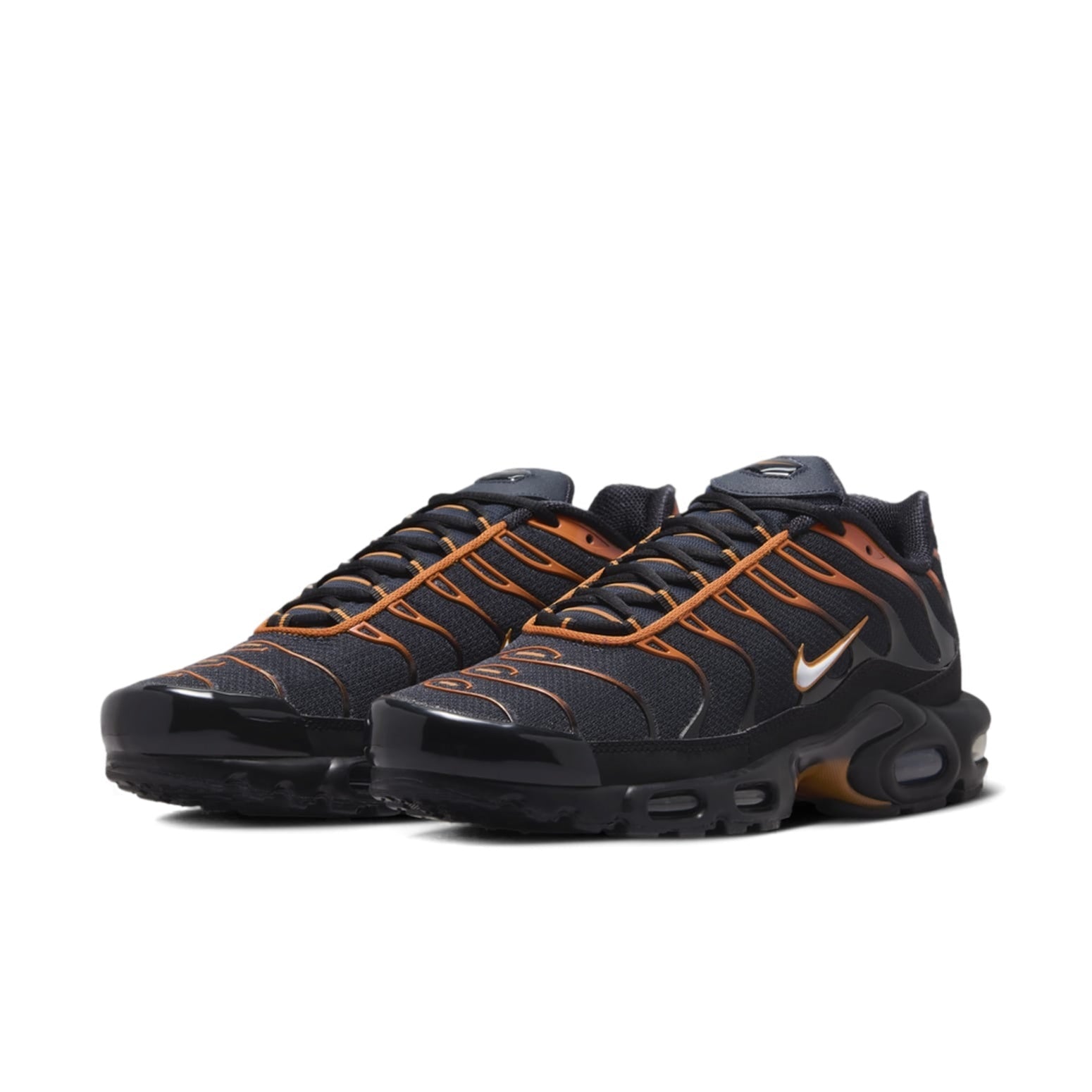 Nike Air Max Plus 'Dark Obsidian Monarch' FN6949-400