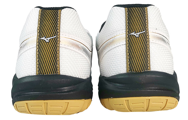 Mizuno Sky Blaster 'SlipResistant Durable Low Badminton' 71GA234601