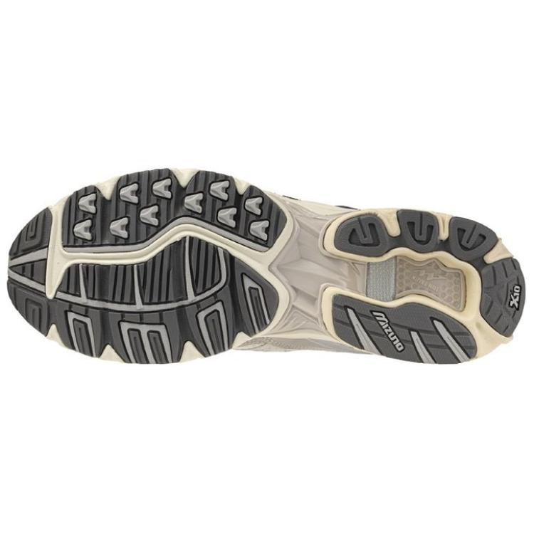 Mizuno Wave Rider 10 'Metallic Snow White' D1GA243104