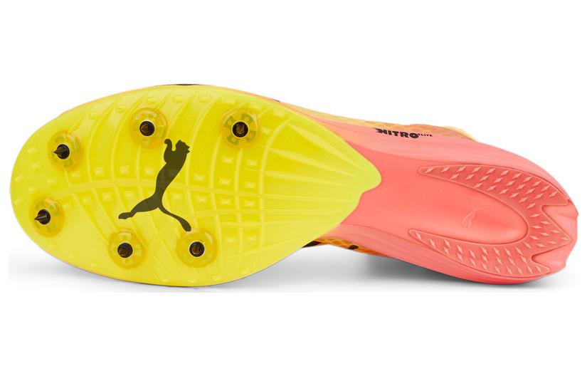PUMA 'Orange' 377383-01