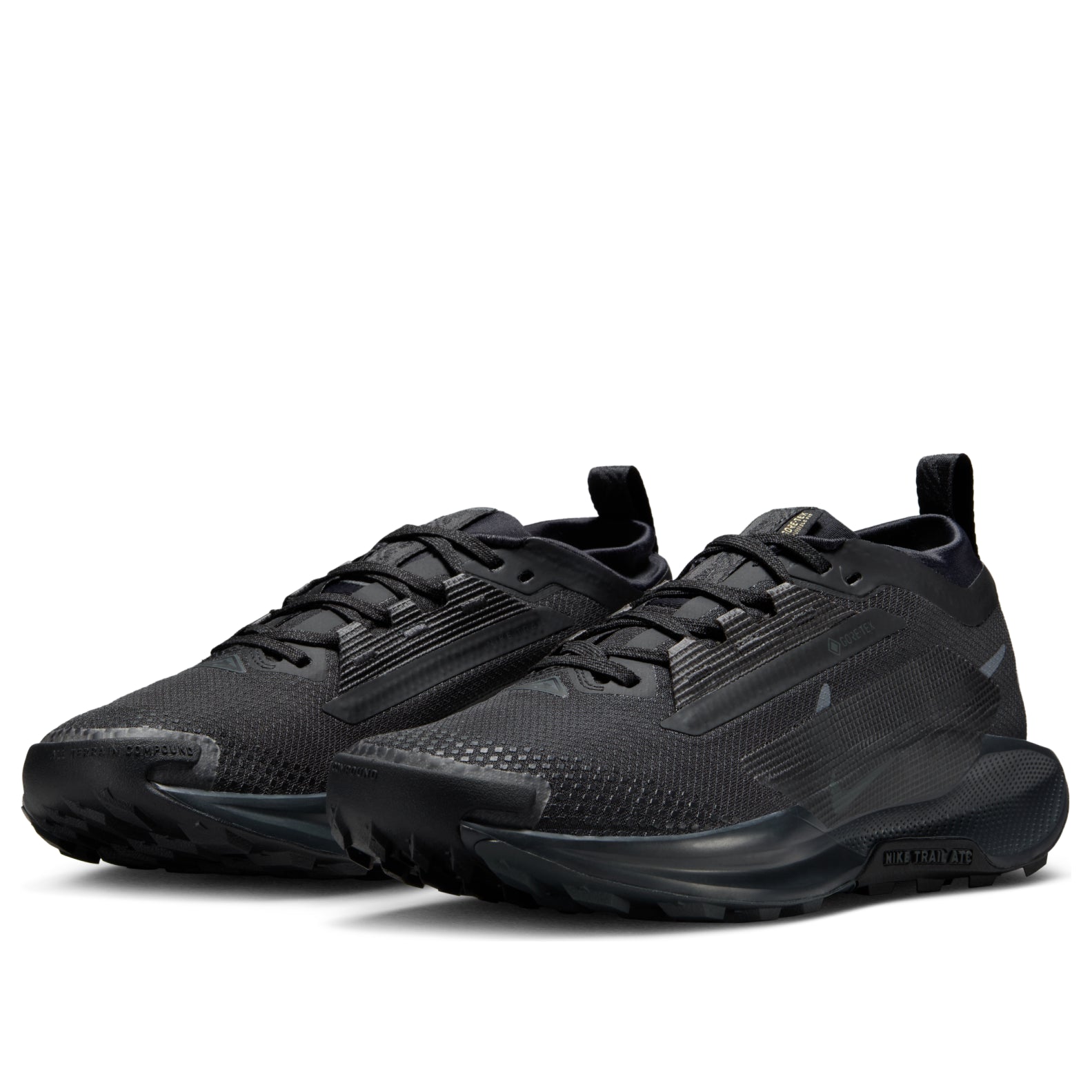 (WMNS) Nike Pegasus Trail 5 Gore-Tex 'Black Anthracite' FQ0912-002