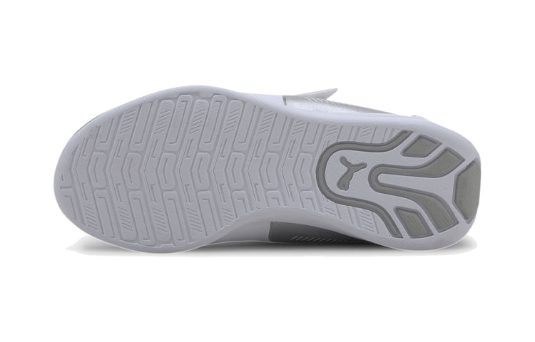 PUMA Bmw M Motorsport Drift Cat 8 Running Shoes White/Silver 339980-02
