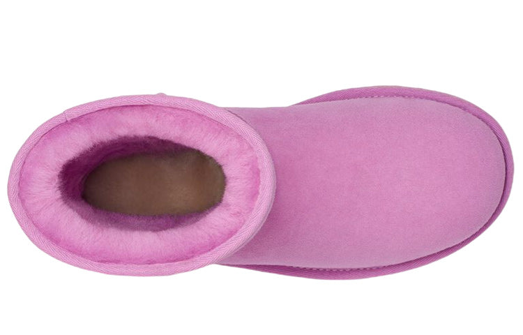 (WMNS) UGG Classic Boot 1016223-WDF