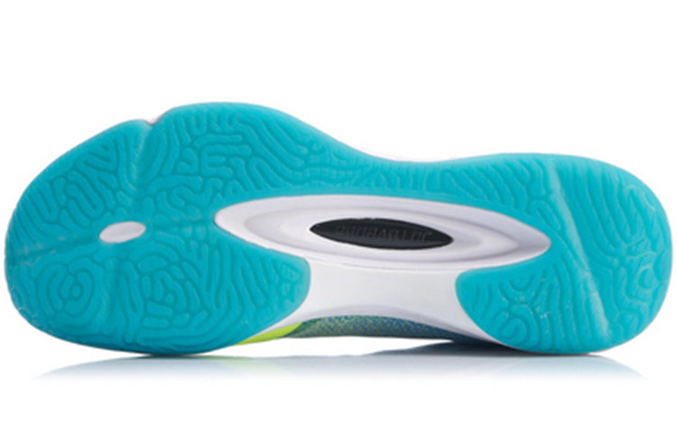 Li-Ning Badminton Shoes AYTP019-1