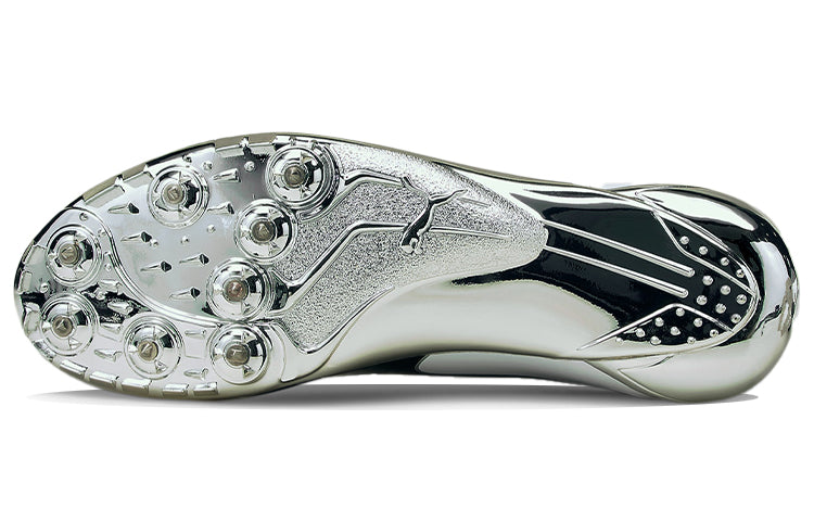 PUMA evoSPEED Electric 10 'Grey' 194475-01