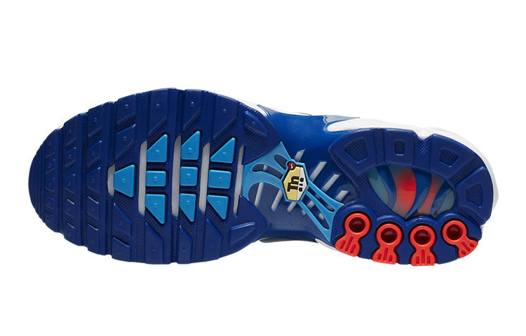 (GS) Nike Air Max Plus '3D Glasses' CQ9893-400