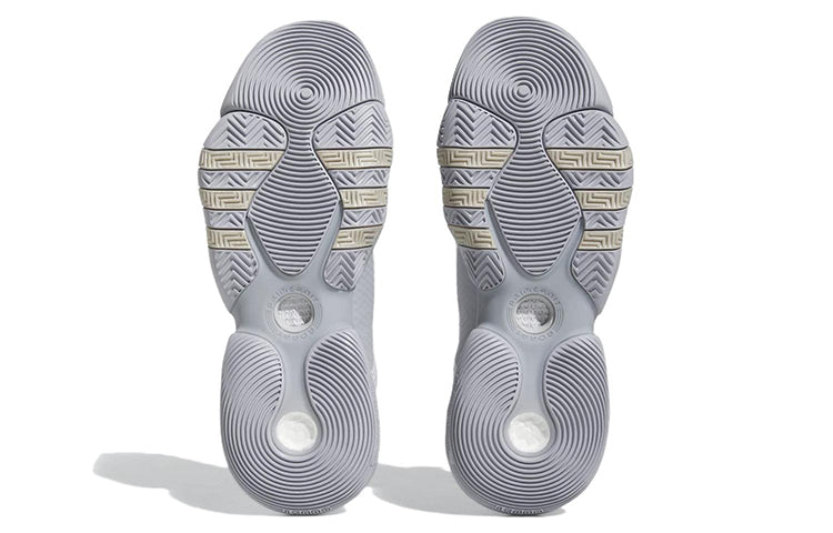 adidas Trae Young 2 'Dash Grey' HQ0997