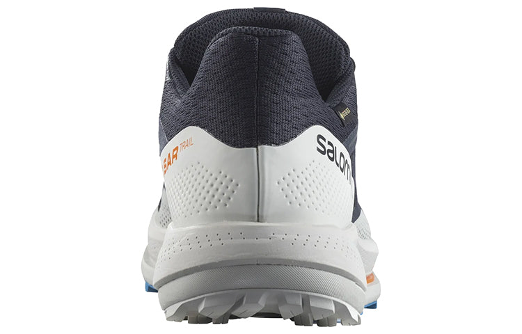 Salomon Pulsar Trail GTX 'Night Sky' 417499