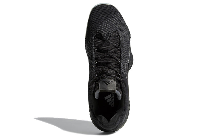 adidas Pro Bounce 2018 Low 'Black Carbon' B41864