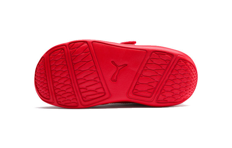 (TD) PUMA SF Kart Cat II V 306430-04