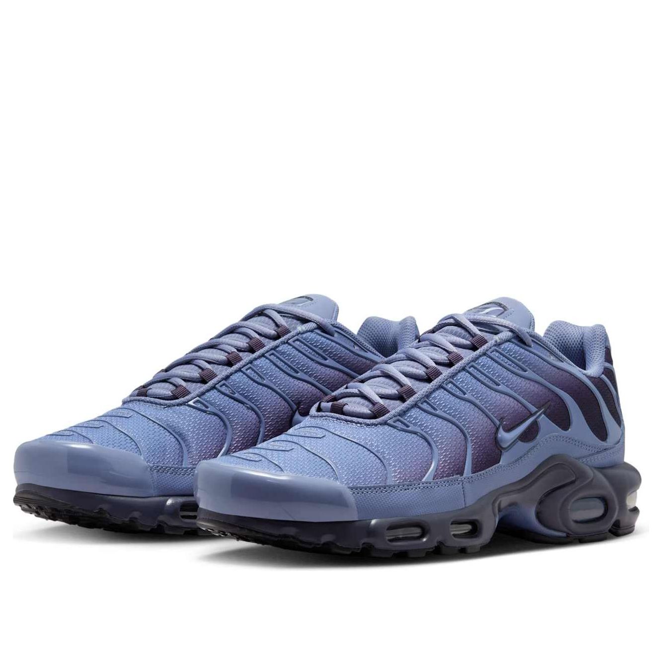Nike Air Max Plus 'World Indigo' DM0032-404