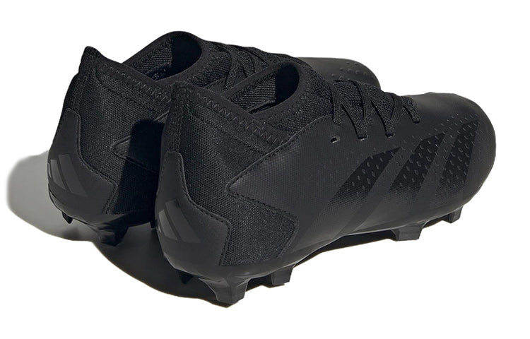 (GS) adidas Predator Accuracy.3 FG 'Black' GW4610