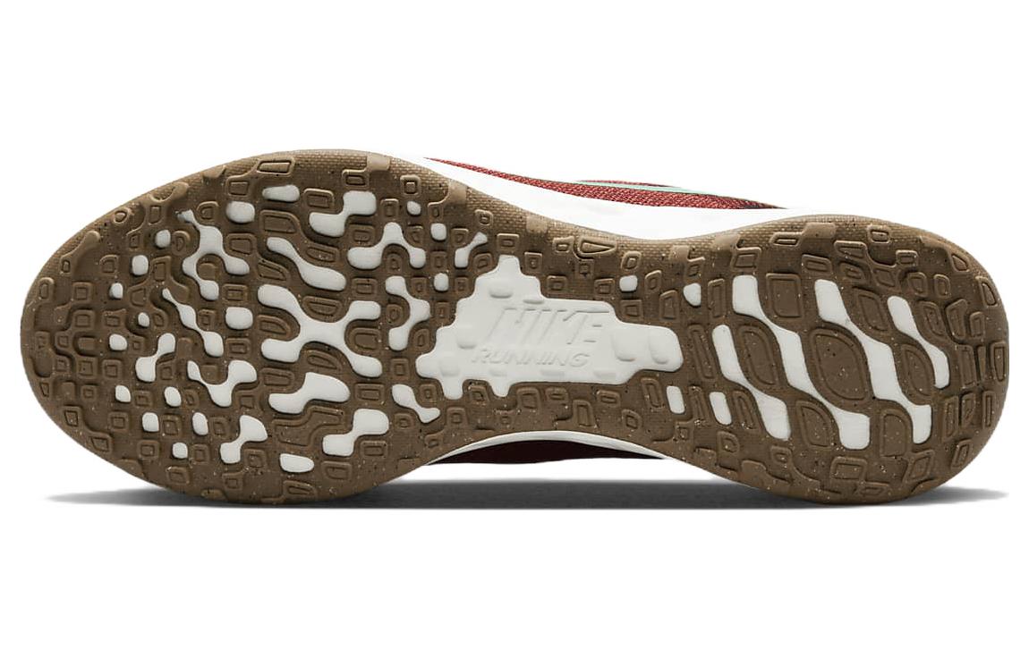 (WMNS) Nike Revolution 6 Next Nature 'Canyon Rust Mint Foam' DC3729-602