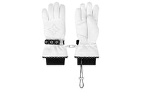 LOUIS VUITTON Ski Gloves