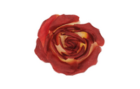 SAINT LAURENT Brooch Women's Red/Orange