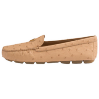 PRADA Casual Single Shoes Women's Brown