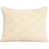 CELINE Pillow/pillow Core