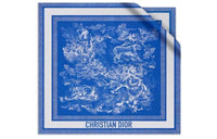 DIOR Knit Scarves Women's Blue